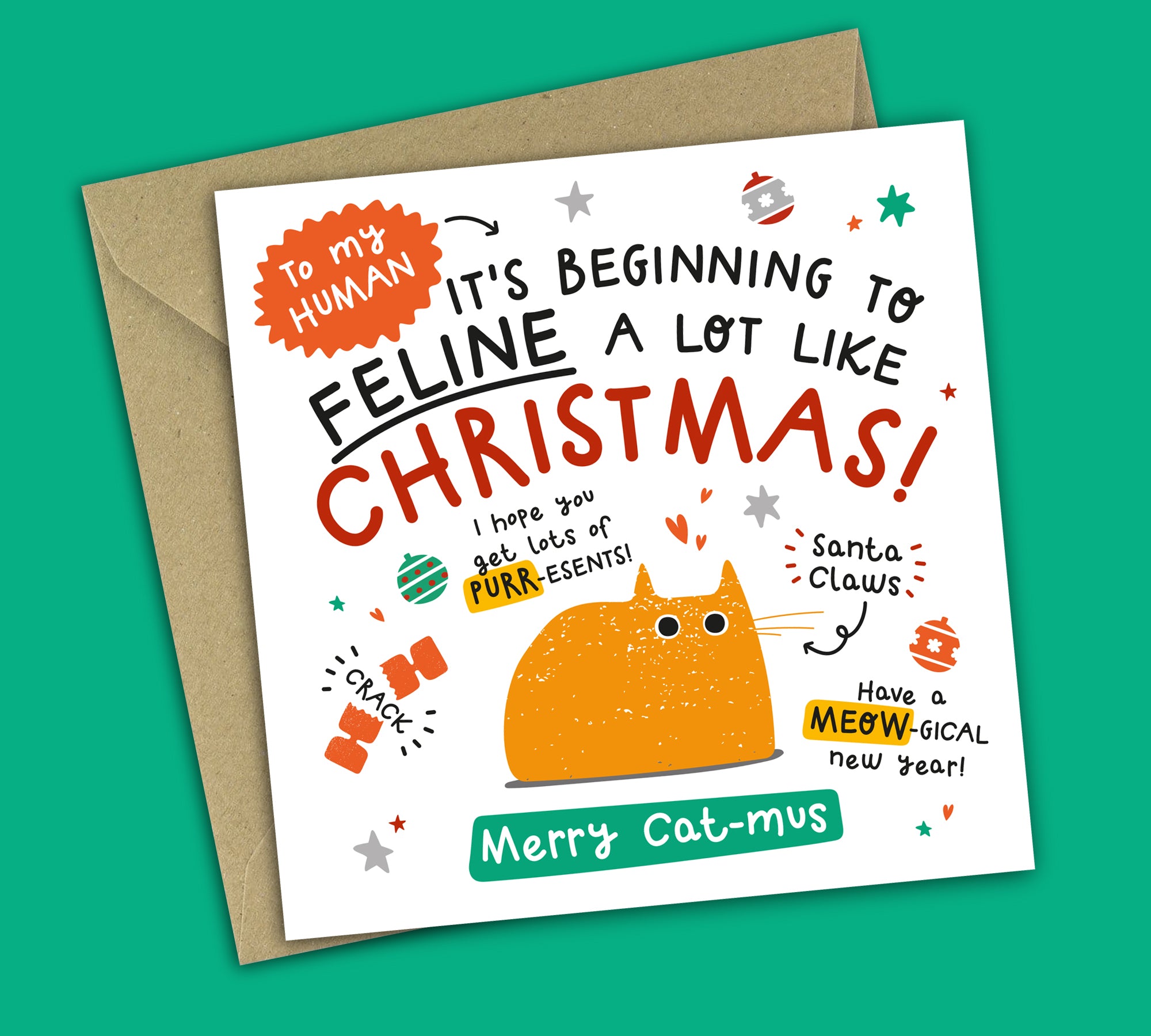 Funny Christmas Card • From The Cat • Cat Puns • Ginger Cat